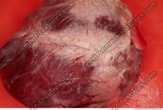 RAW meat pork viscera 0029